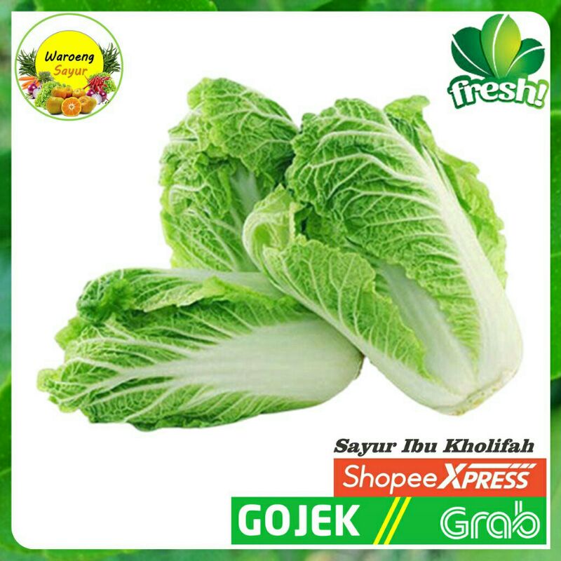 

sayur sawi segar