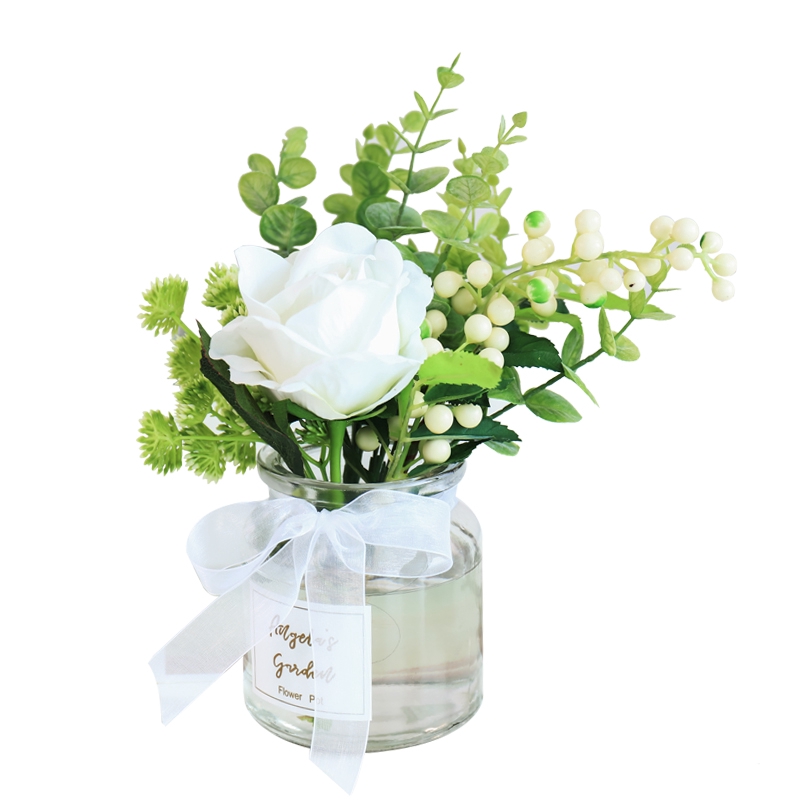 Tanaman Hidroponik Bunga Mawar  cara merawat hidroponik 