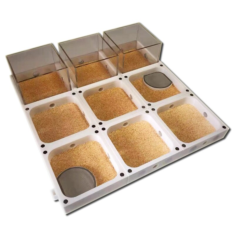 PreOrder 3D Printing Ant Farm Unlimited Spliced Ant Nest Flat Ants House with Moisturizing