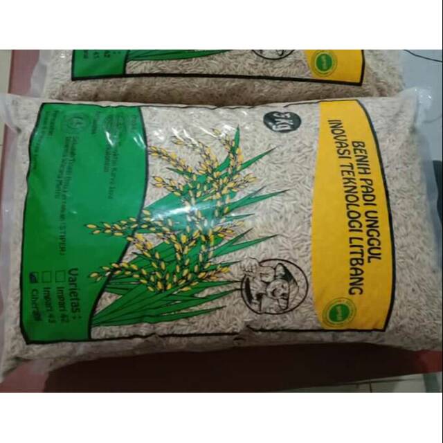 benih padi inpari 42,inpari 43,ciherang