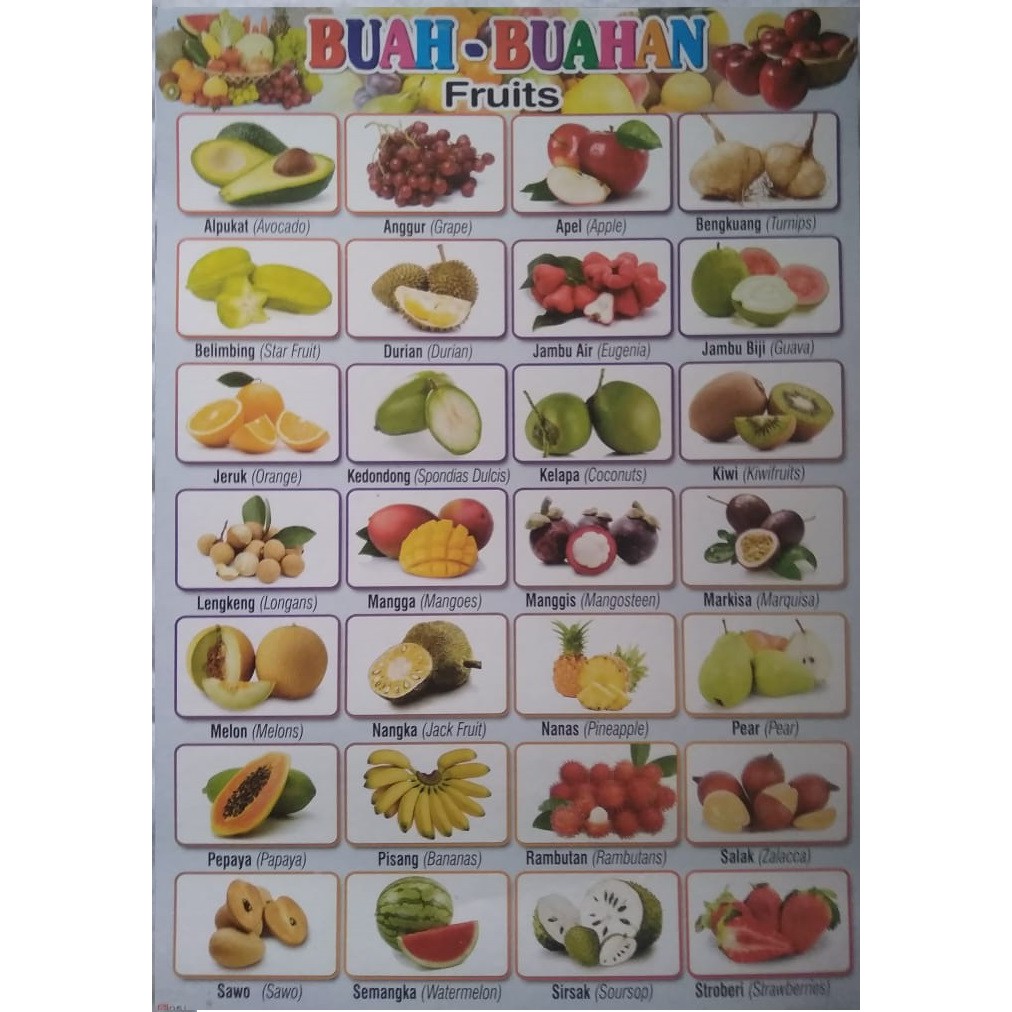 Jual POSTER BUAH-BUAHAN FRUITS - INGGRIS INDONESIA | Shopee Indonesia