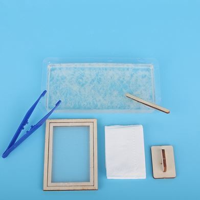 DIY Papermaking for Kids - Alat Membuat Kertas Seni untuk Anak