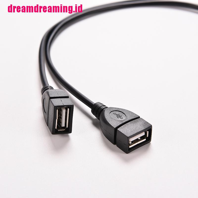 Ddid Kabel Power Adapter Splitter Y Usb 2.0 A Male Ke 2 Dual Usb Female