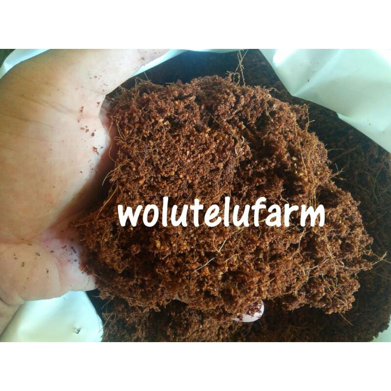 cocopeat serat halus 1 kg