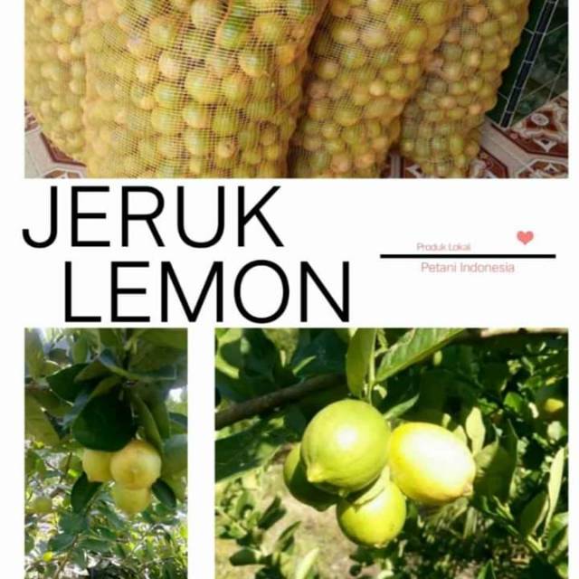 

Jeruk lemon Lokal