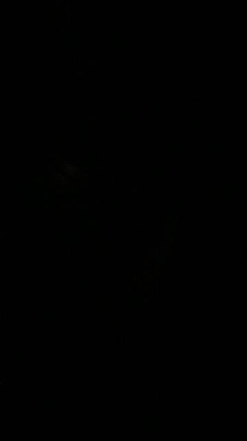 Gelas Besar Bahan Bambu