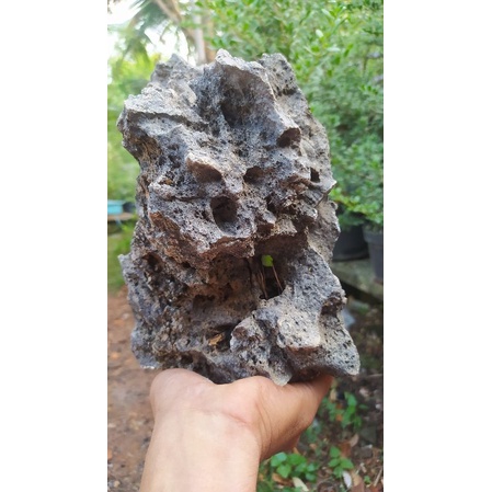 batu karang gunung realpict