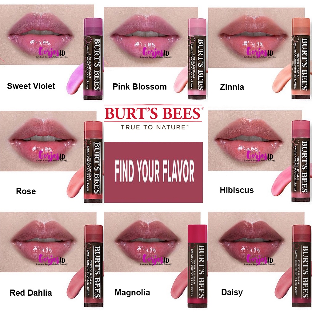 Burt's Bees Tinted Lip Balm burt burts original