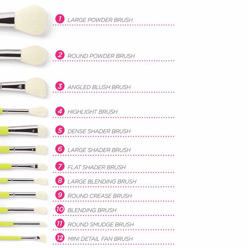 BH Cosmetics Colour Festival 12 Pcs Brush Set Bonus Angled Brush Holder