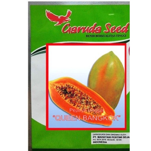 PEPAYA QUEEN BANGKOK 1 GRAM PACK BESAR benih biji pepaya california garuda seed