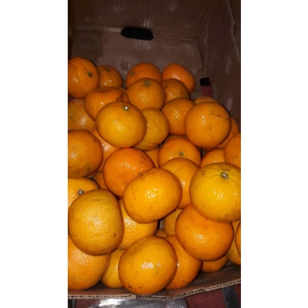

Jeruk Mandarin Manis