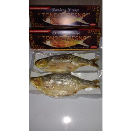 oleh oleh semarang bandeng presto  &amp; otak otak bandeng ukuran standart isi 2 kemas vakum