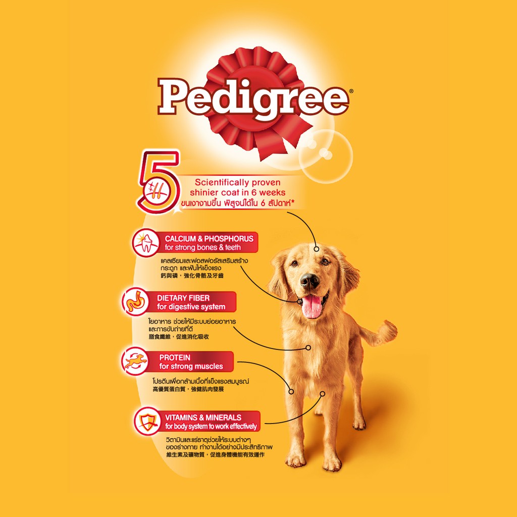 PEDIGREE® Makanan Anjing Kering 3 Kg-1