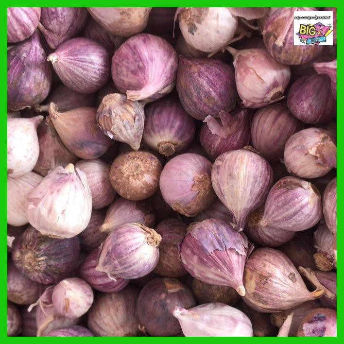 

obatlabreh- bawang putih tunggal -aslii.