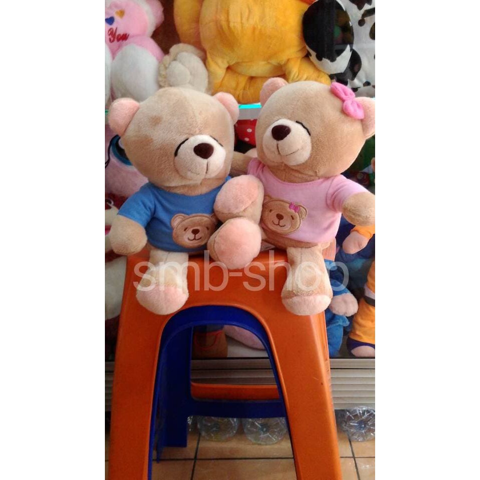 boneka teddy bear FF couple