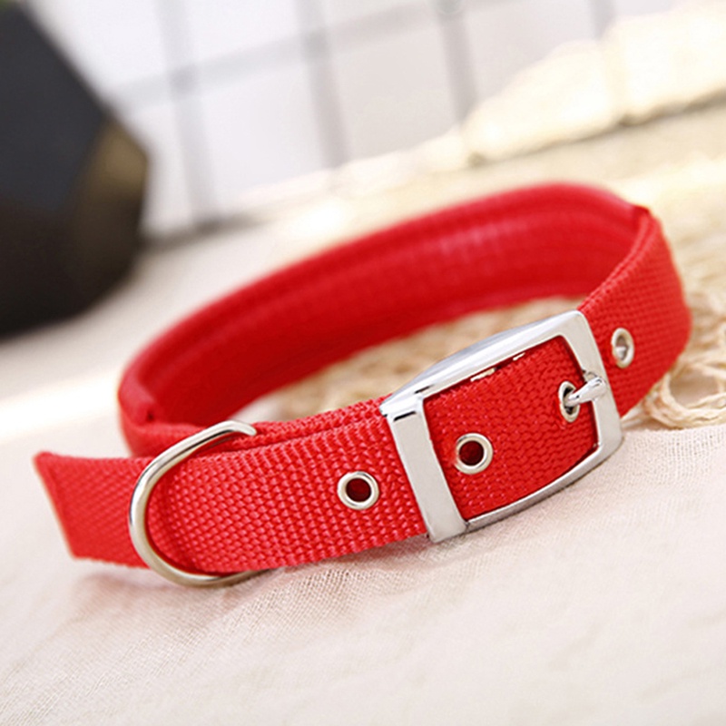 Kalung Collar Bahan Nilon Untuk Anjing Pitbull Teddy Keji Ukuran Kecil / Sedang