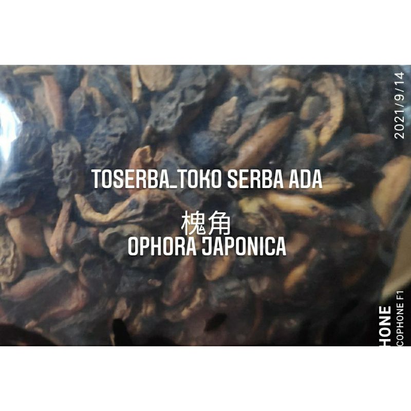 

100gr Herbal Huai Jiao 槐角 Ophora Japanica Premium Grade