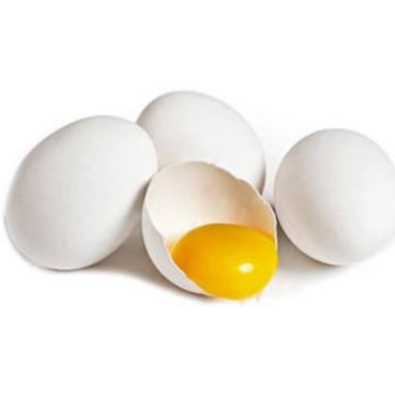 

Telur Kampung Biasa