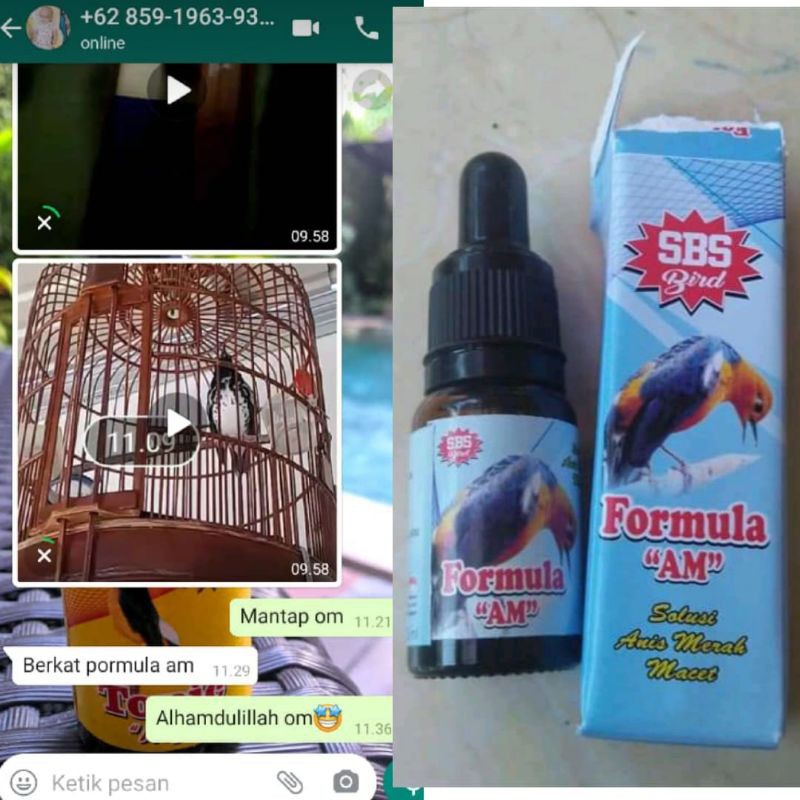 Vitamin Ajaib Formula AM Menjadikan Anis Merah macet jadi bunyi