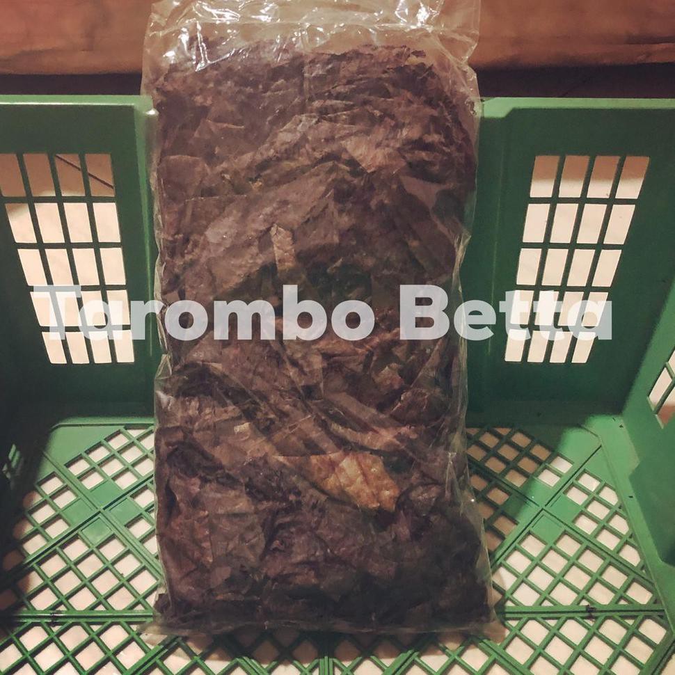 

[KODE 6934] Barang Ekspor Daun Ketapang Laut Fermentasi Olahan Isi Bersih 100 Gram 100gram Berat Ber