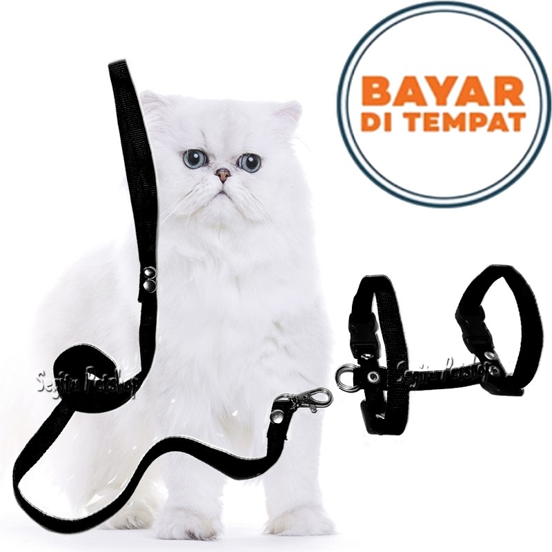 Harness H Tali Kucing Musang Anjing