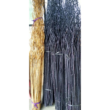 BAMBU ULIR/BAMBU CENDANI/BAMBU INUL/BAMBU HIAS