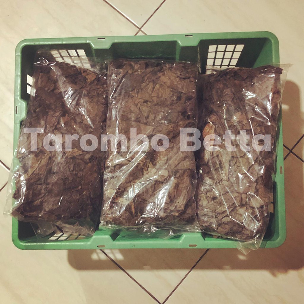 Barang Ekspor Daun Ketapang Laut Fermentasi Olahan 100 Gram 100gram 100gr