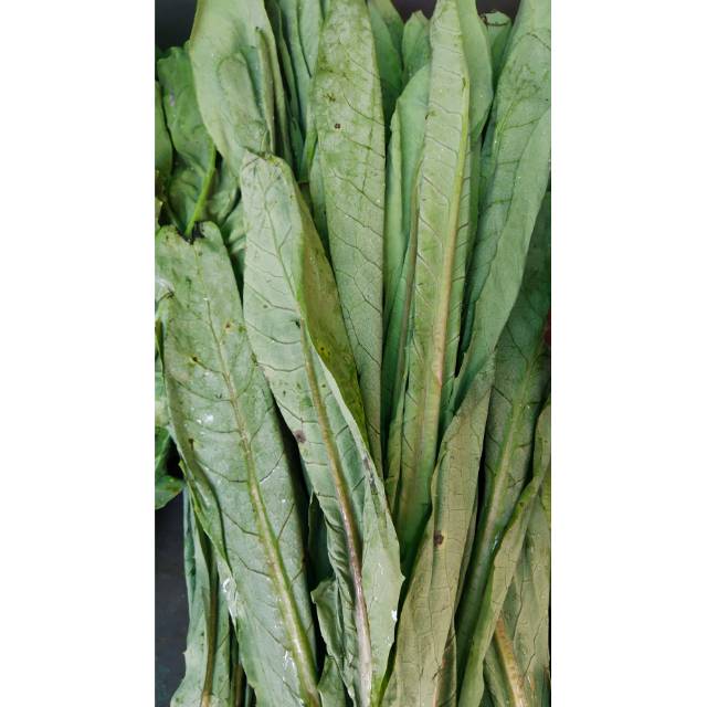 Sayur Fumak jumbo 1 kg (Se-Jawa)