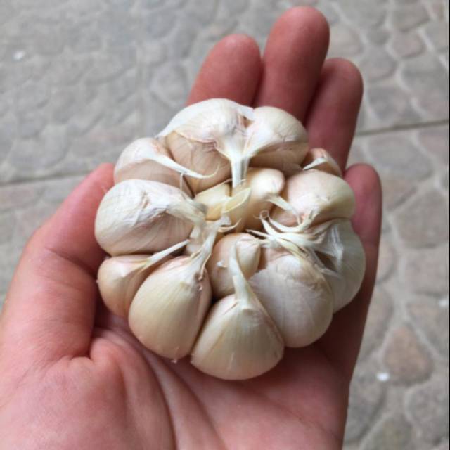

Bawang Putih Honan 1Kg
