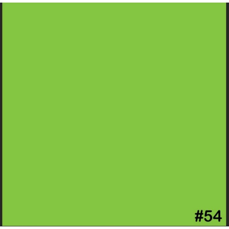 Pylox Samurai #54** Fluorescent Green/Samurai Paint #54** Fluorescent Green