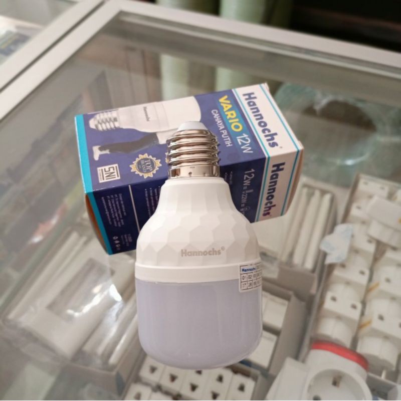 Lampu LED Hannochs 12 Watt Vario