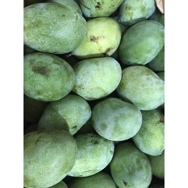 

buah harum manalagi/ ML