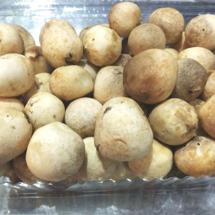 

TERMURAH Jamur merang segar 500gr Kode 1032