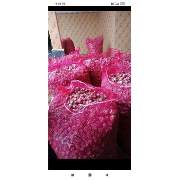 

Bawang Merah