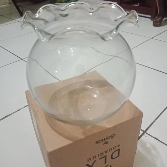 Aquarium Ikan Cupang Toples Kaca Bulat | Shopee Indonesia