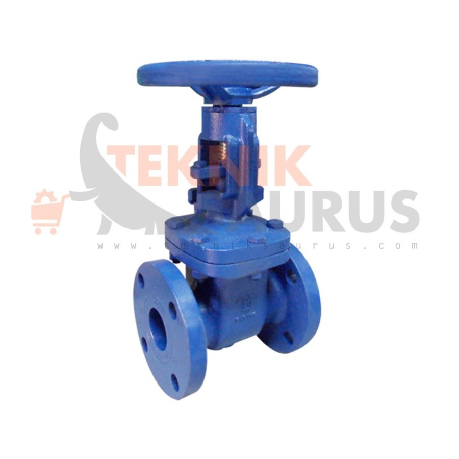 Gate Valve Rising 6"