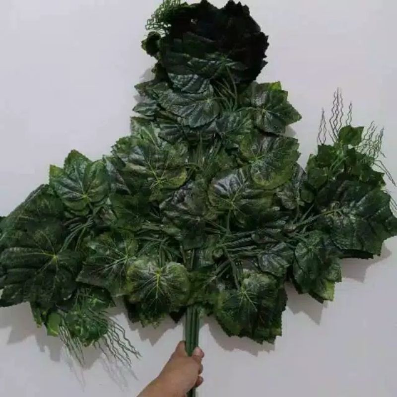 DAUN ANGGUR HIJAU TUA ( Harga PERLusin )