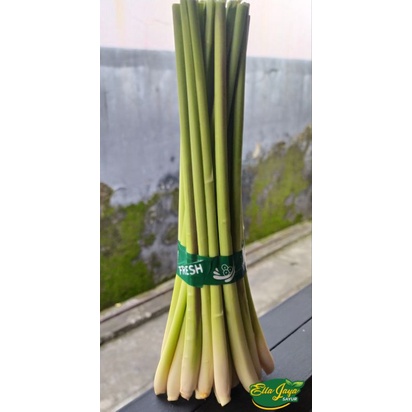 

Sereh Per-ikat Fresh Bersih Purwokerto