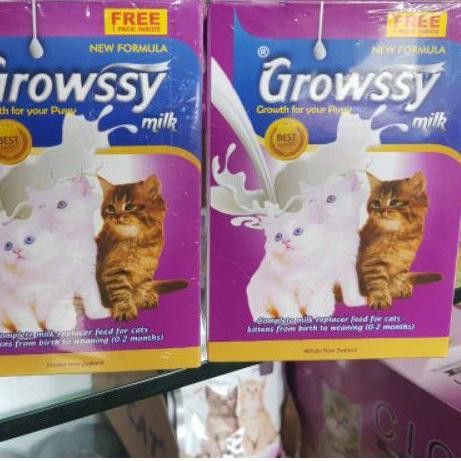 Harga Susu Kucing Baru Lahir Terbaru November 2021 Biggo Indonesia