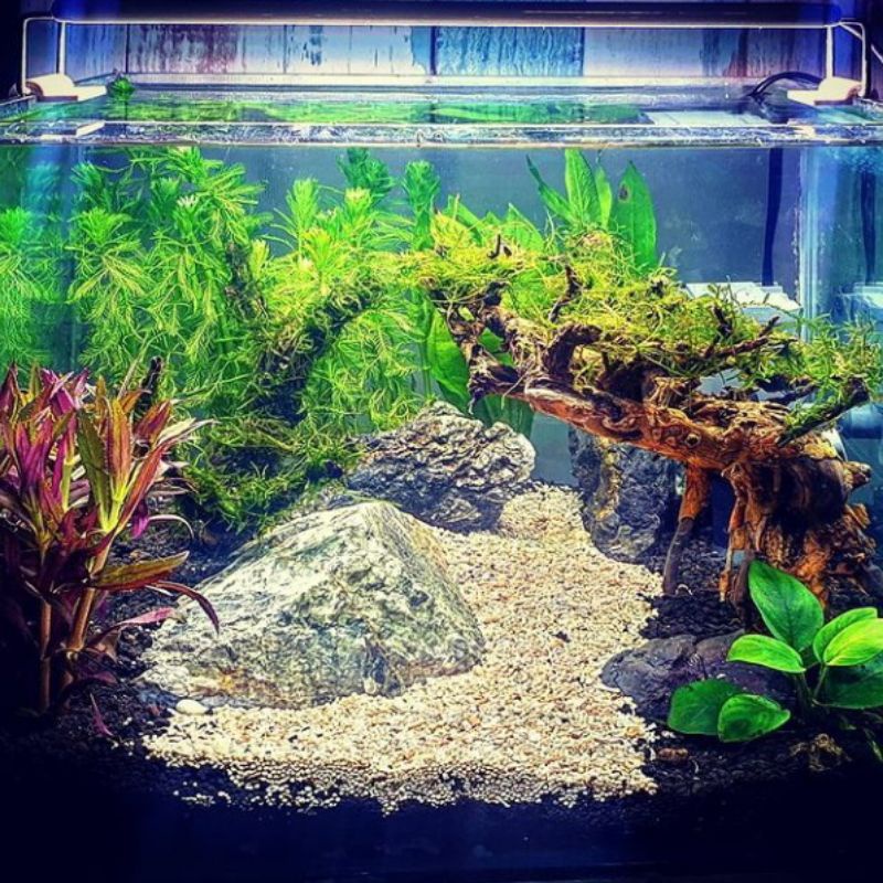 Pasir Bali Aquarium / Aquascape Kemasan 1000 Gram