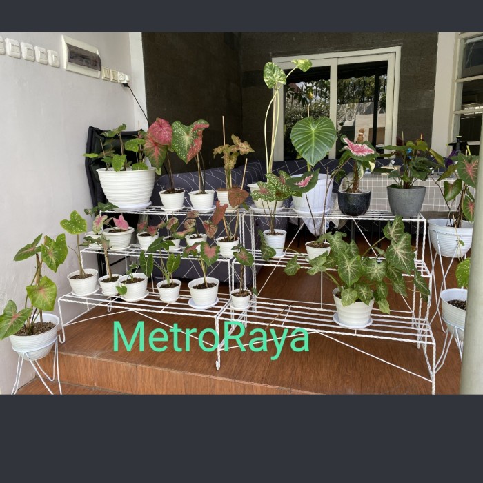 Rak Tanaman - Rak Pot Besi 3 Susun / Rak Putih Tanaman / Rak Pot 3 Susun