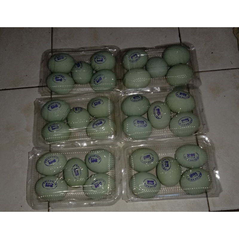 

TELUR ASIN SDR ASLI BANDUNG