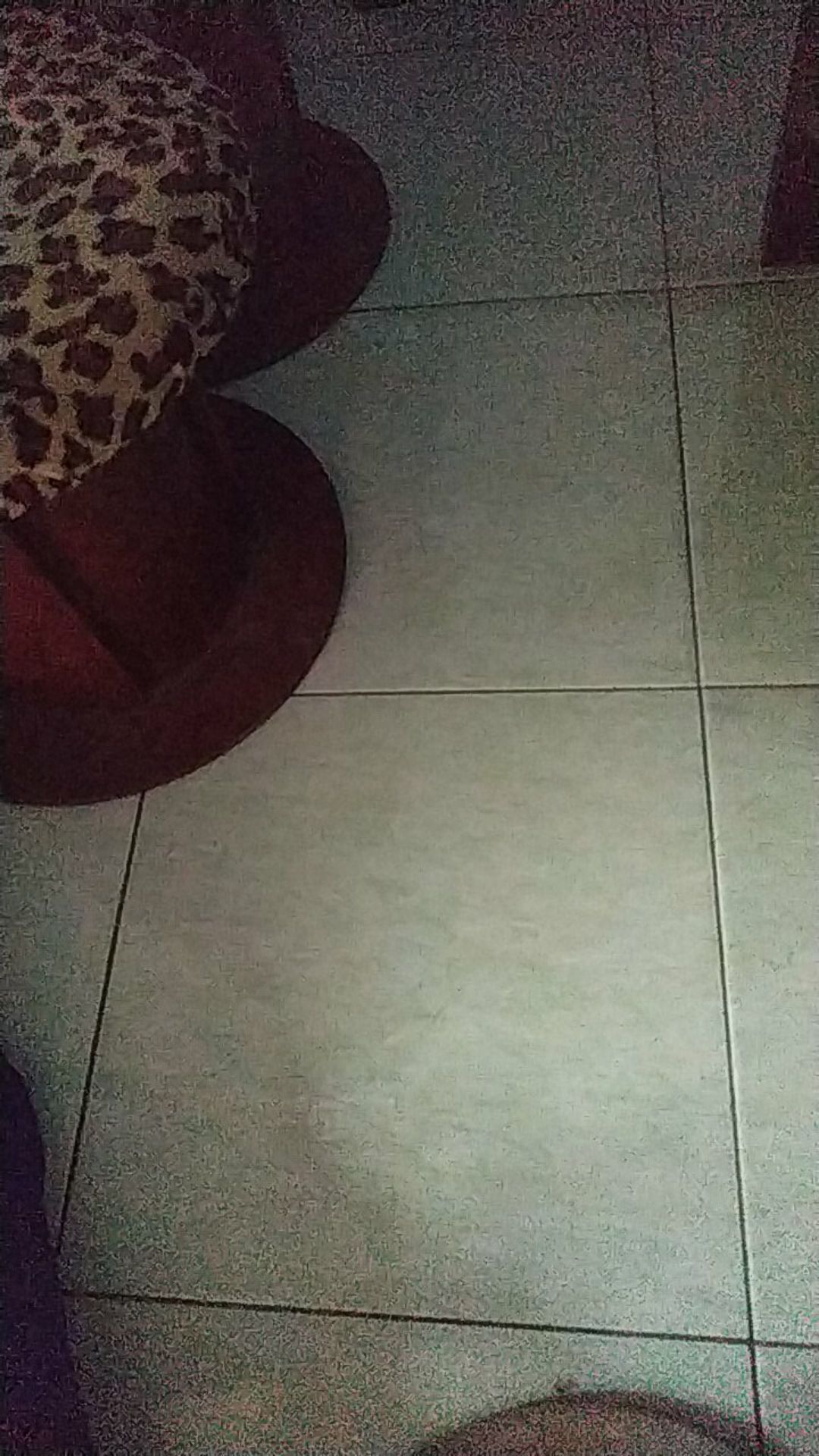 Gembok Putih 40 Mm Leher Panjang Hpp Murah