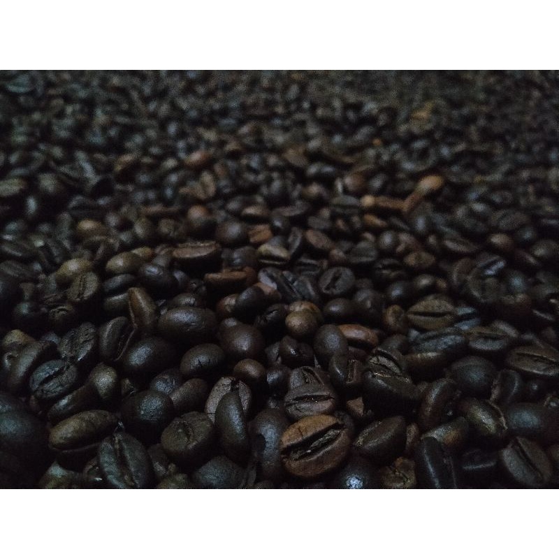 

biji kopi roasting robusta temanggung