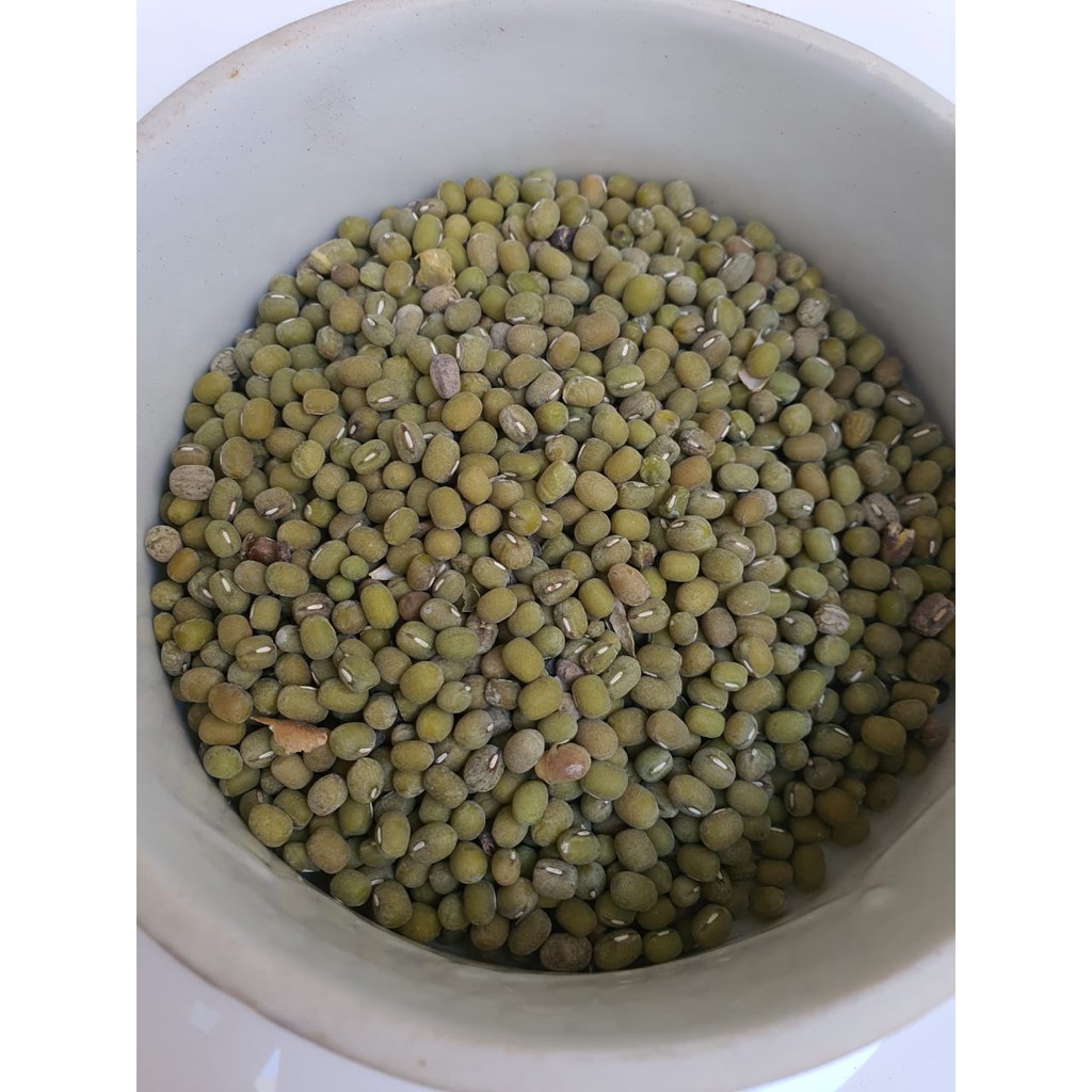 

Kacang Ijo Hijau buram butek 1kg grosir