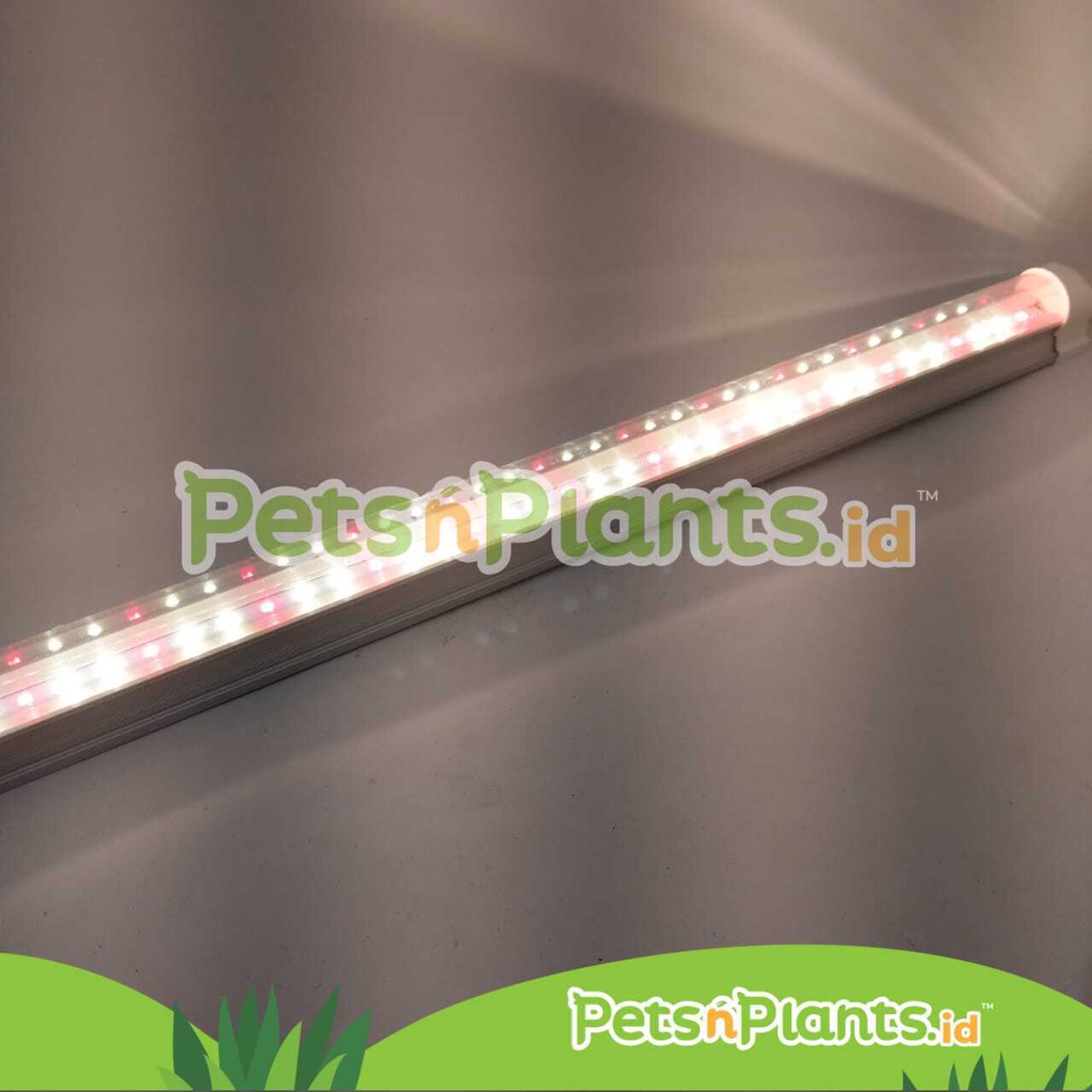 LED T8 Grow Light Lampu Tanaman Hidroponik Full Spectrum Import Ukuran 60 CM