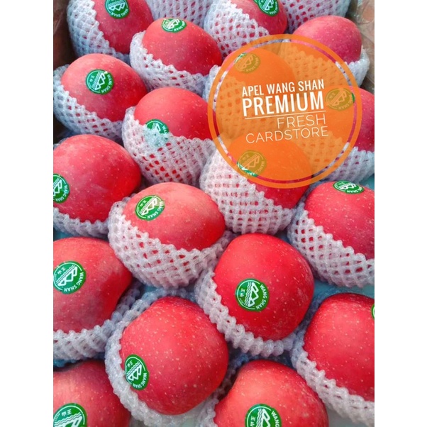 

Buah Apel Wang Shan Premium Manis Garing Fresh - 1 Kg