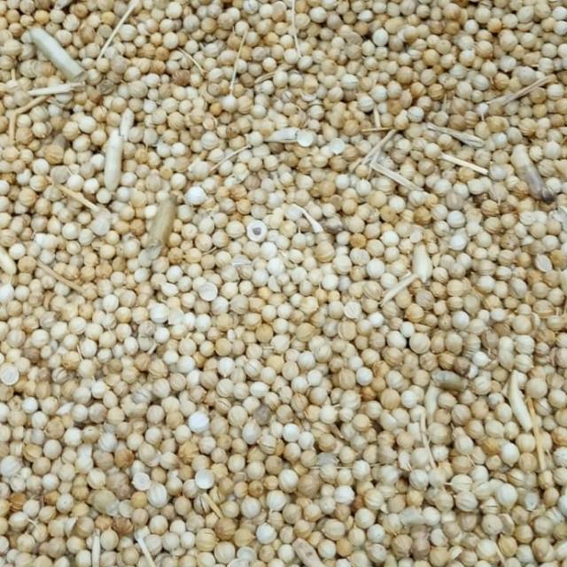 

Biji Ketumbar Kuning 500 gr