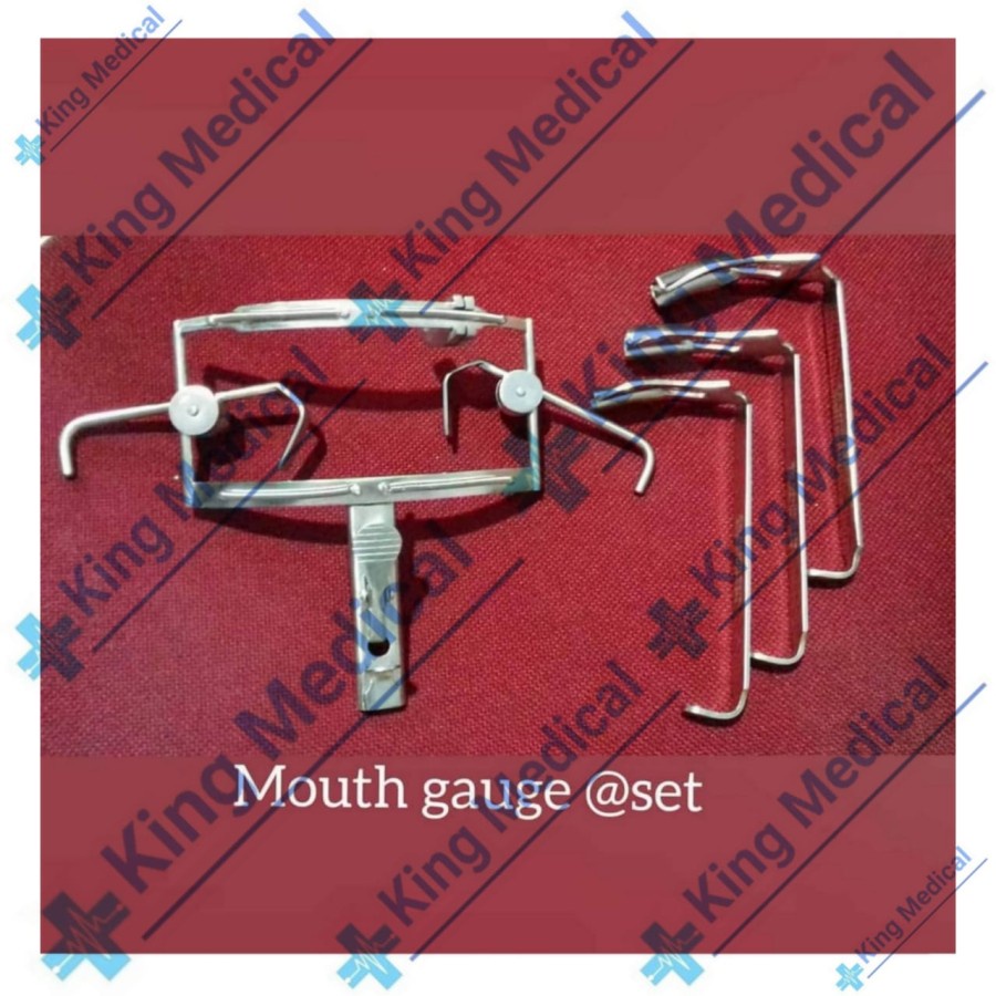 Dingman Mouth Gag Set Quality Premium