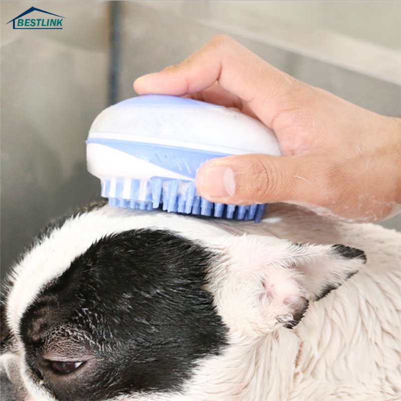 dog getting massage spa